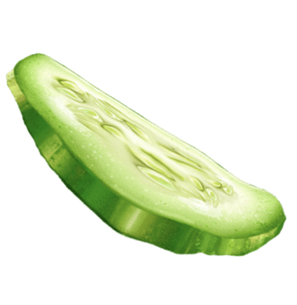 cucmber-icon